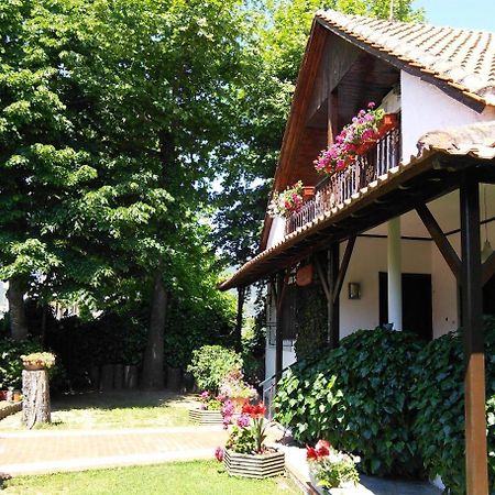 Villa Afroditi Vrasná Buitenkant foto