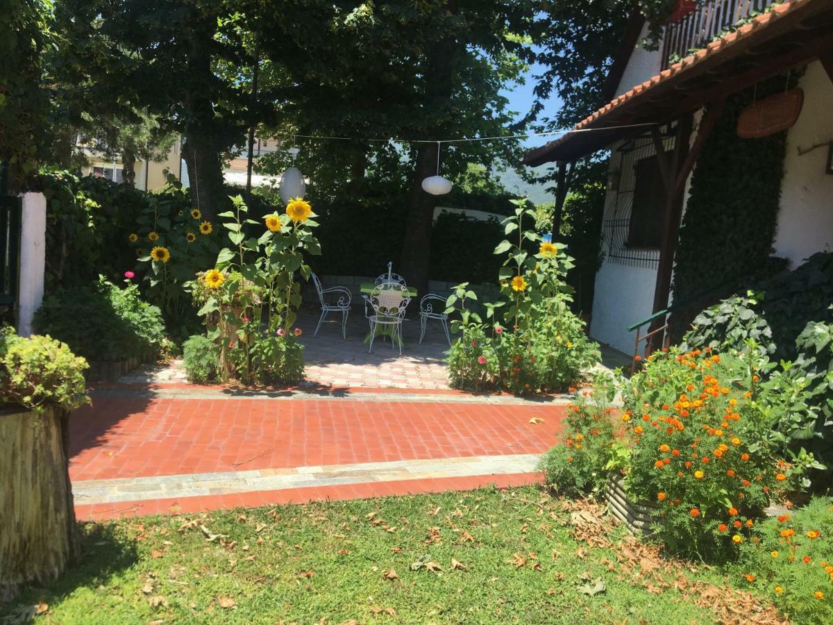 Villa Afroditi Vrasná Buitenkant foto